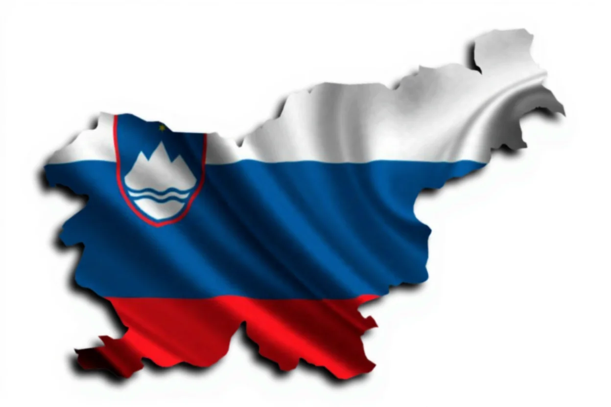 Slovenya Üniversiteleri